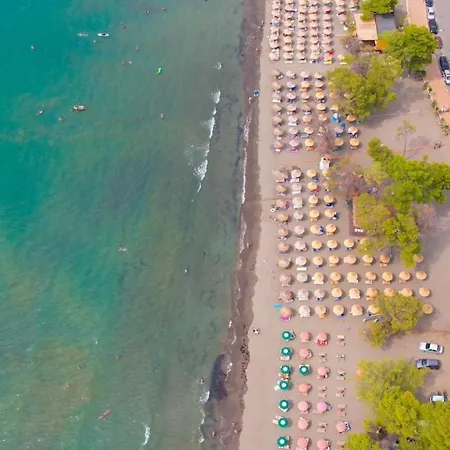 Frojd Kune & Shengjin (Lezhe)